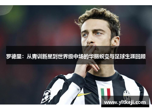 罗德里：从青训新星到世界级中场的华丽蜕变与足球生涯回顾
